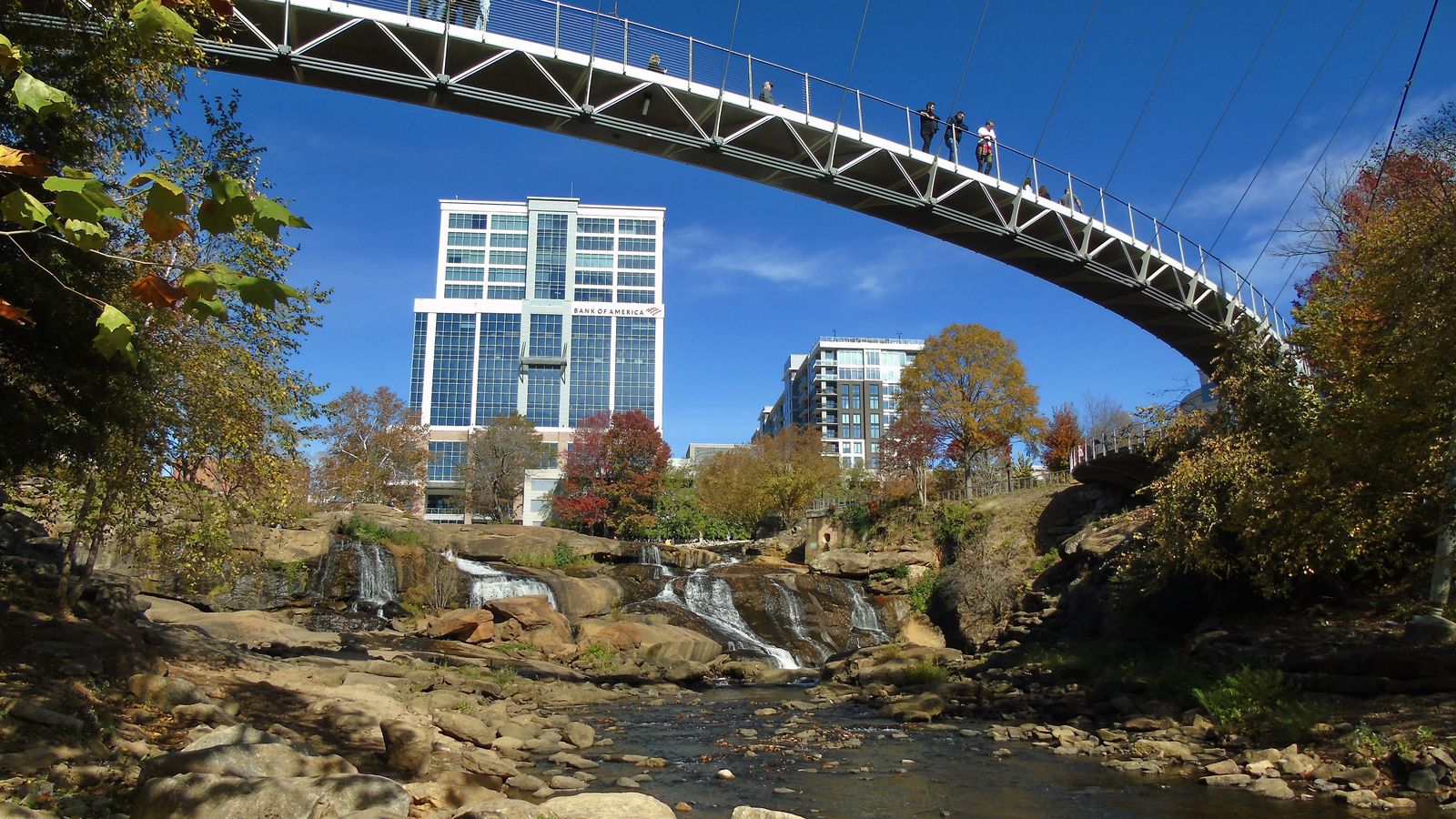 The Liberty Bridge arching over the Reedy River falls in Falls Park, with downtown Greenville's towers behind the autumn trees.