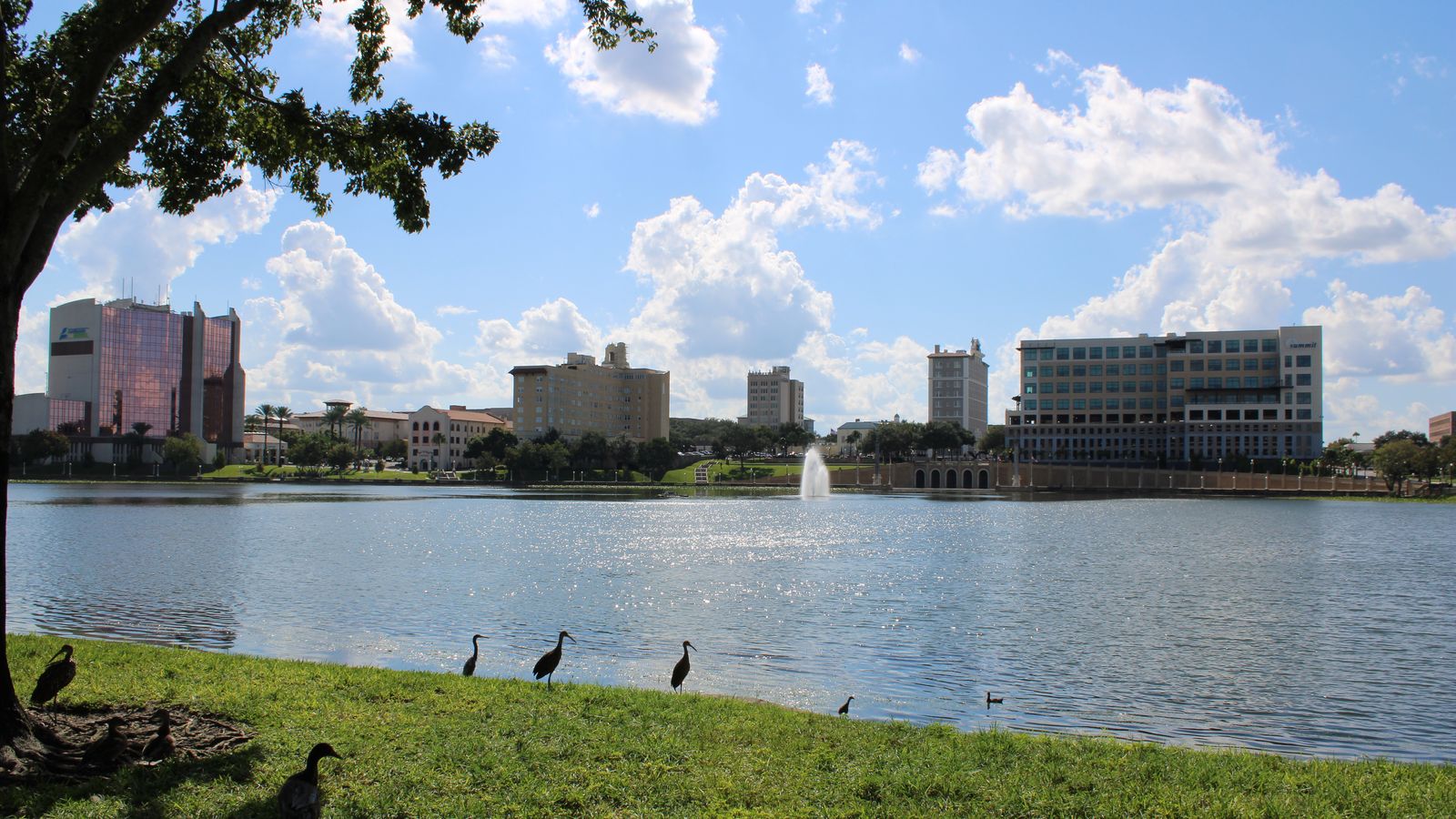 Downtown Lakeland's towers across Lake Mirror on a sunny day, with wading birds along the grassy shore.